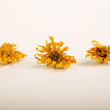 Yellow Chrysanthemum - Hand Cut