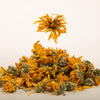 Yellow Chrysanthemum - Hand Cut