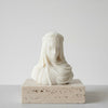 Lady in Veil