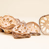 Lotus Root - Fine Cut