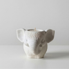 Serene Elephant