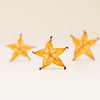 Star Fruit - Fine Cut